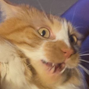 Meet your Posher, Aubrey